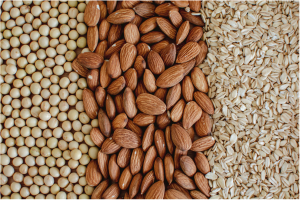 Diferencias y Generalidades entre bebidas vegetales Almendra, soya, coco y avena