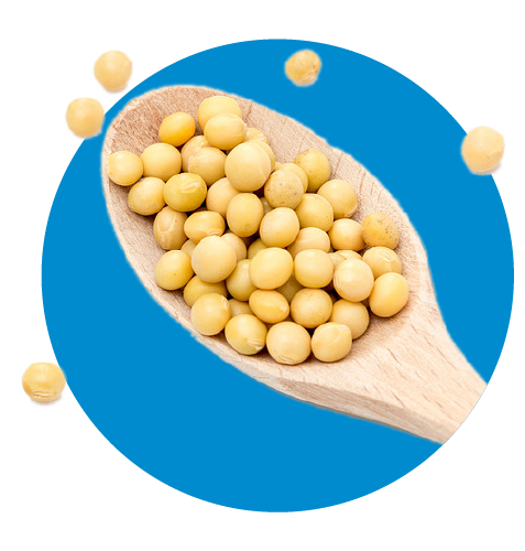 SOYA